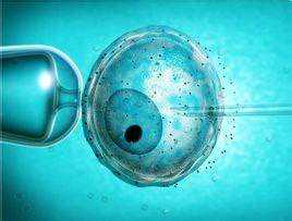 试管移植前后用药-Crinone孕酮栓