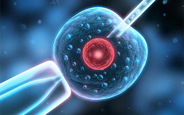 从“怀不上”到“生得好”：试管婴儿，30岁了