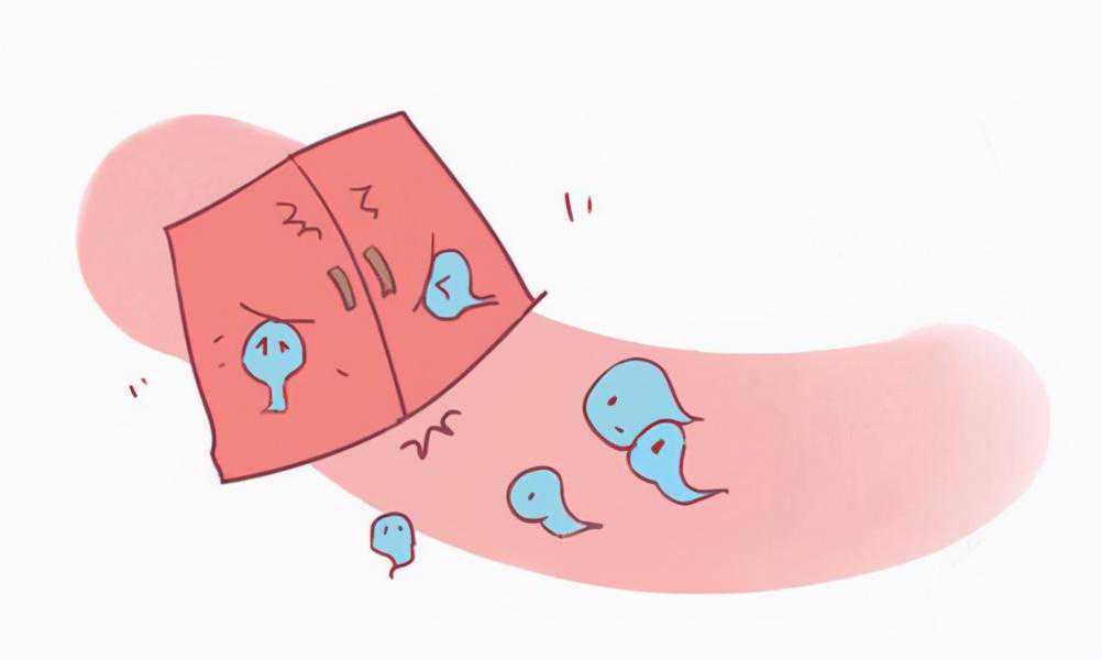 试管婴儿：受精障碍患者的又一“生”路