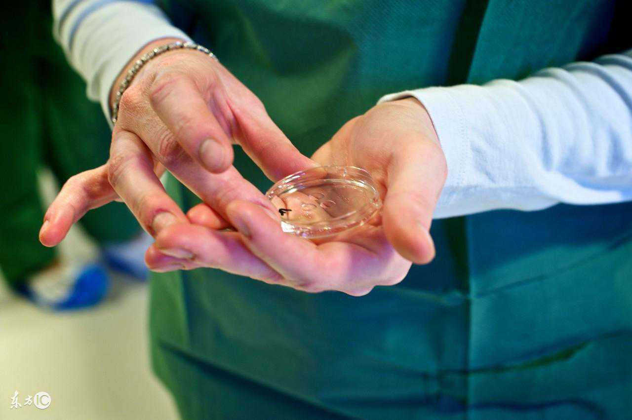 试管婴儿取卵手术之前，为什么要降调促排