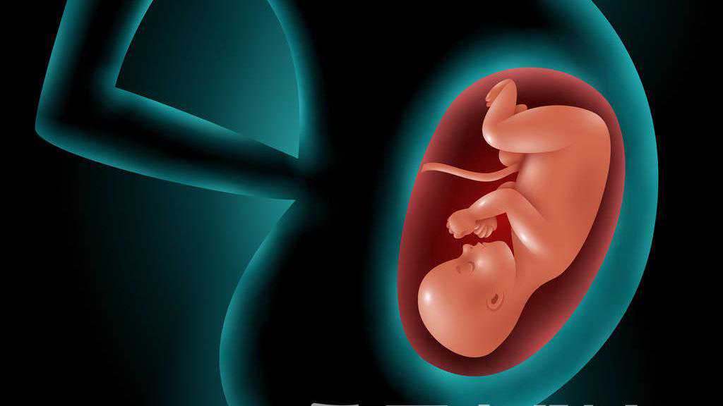 试管婴儿技术：不让女性为胚胎停育背锅！