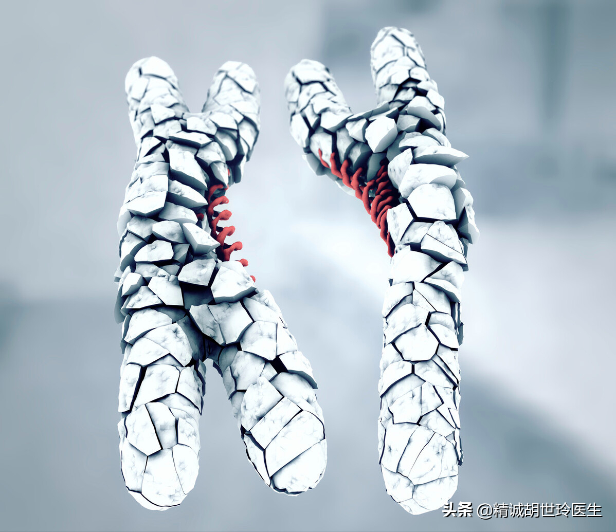 为什么染色体异常会导致试管婴儿失败？