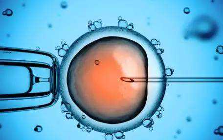 告诉你一个秘密，试管婴儿的性别怎么选?