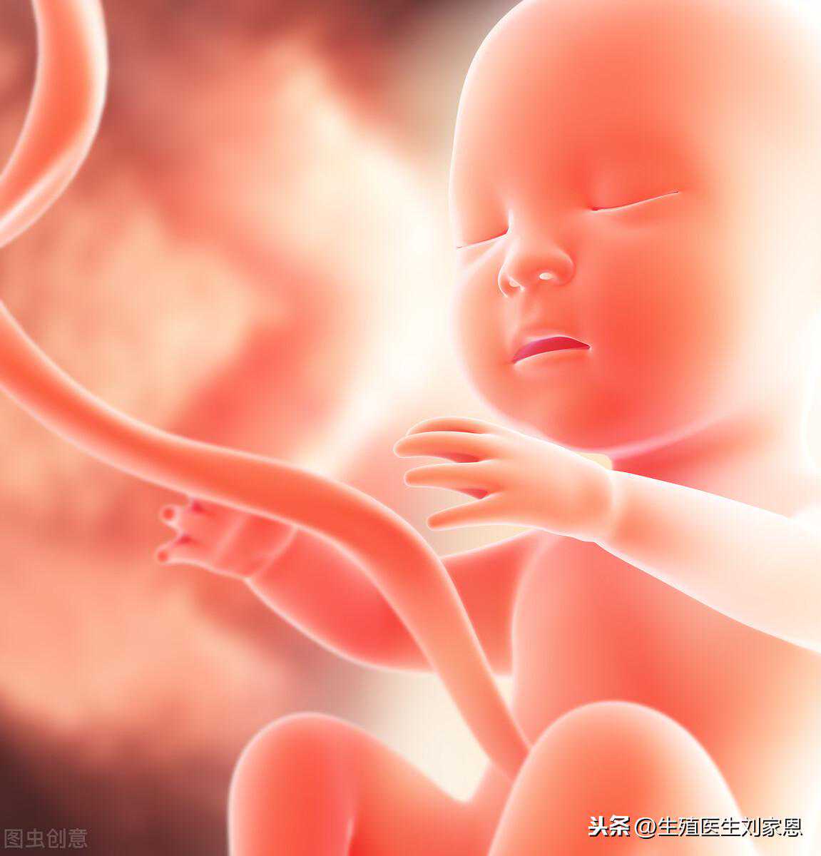 试管移植后胚胎发育缓慢，甚至胎停咋回事？3大高危因素要规避