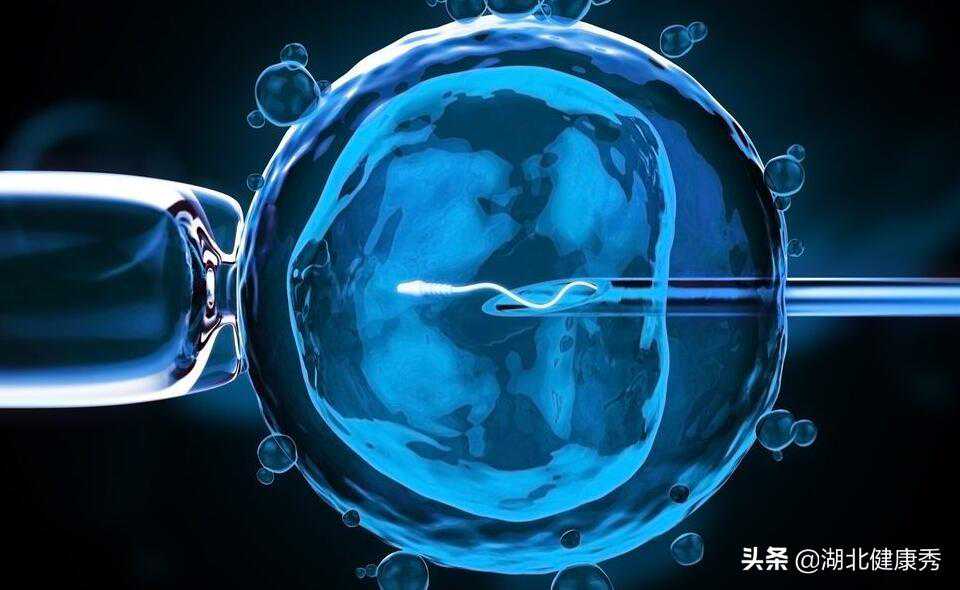 只要做了试管婴儿，怀孕就是板上钉钉的事？真相可能会让你失望