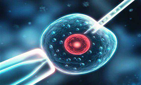 试管婴儿手术中降调是什么意思？怎样降调才算成功？