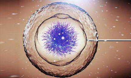 做试管婴儿的女性，询问次数最多的5个问题，再不收藏答案就没了