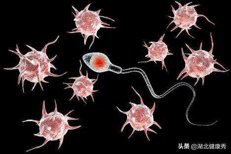 试管婴儿能否成功，主要取决于这5个因素，一个不合格就满盘皆输