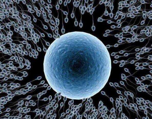 初次做试管婴儿的人，最容易犯的6个错误，医生每年要解释上千遍