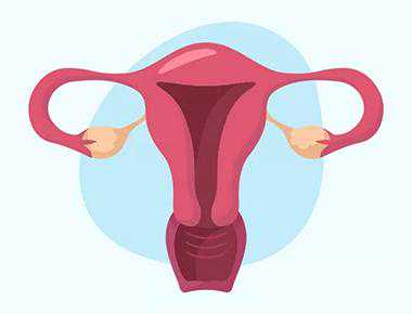 是什么导致试管胚胎着床失败？专家：很有可能是这几个因素在作怪