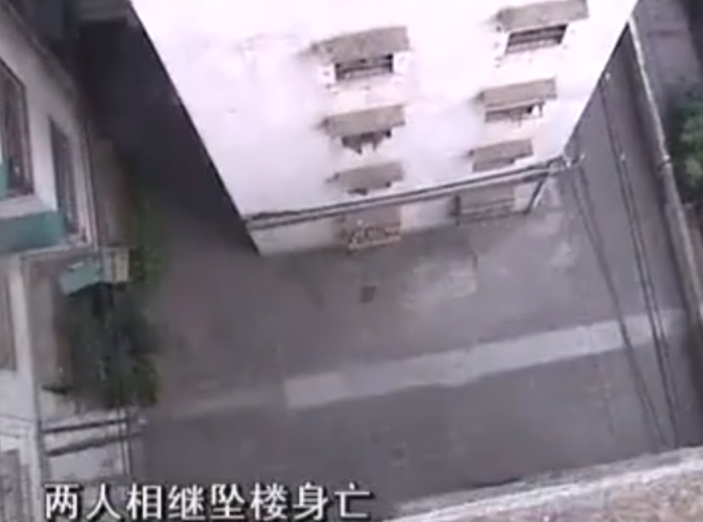 2002年广东5旬夫妇以试管生下龙凤胎，10年后因无力抚养双双跳楼