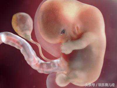 孕期表现之：怀孕8周的状态