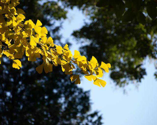 秋季“精”强力壮，备孕正当时