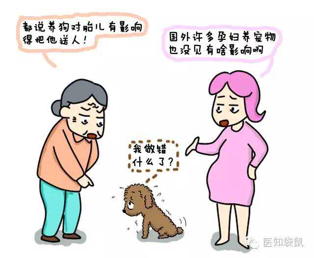 TORCH检查：孕期要防的虫子和病毒！