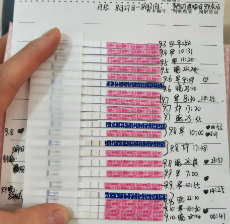 接好孕啦~备孕半年马上好孕，推荐我的备孕方法