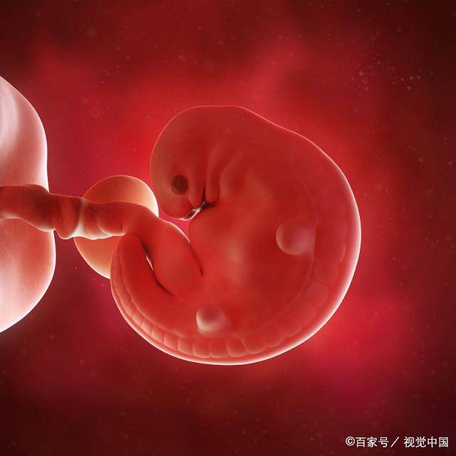 孕妇5年内胎停3次，到底是什么惹的祸？备孕时2件事不可不知