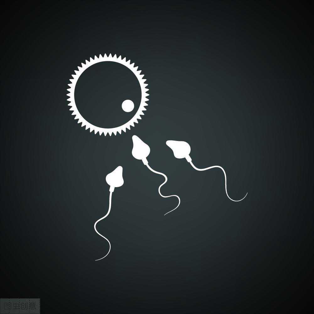 备孕迟迟没动静，你的排卵期算对了吗？