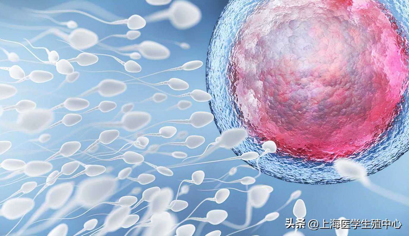 备孕一年多还没怀上，男方要做哪些改善？这些检查也要做