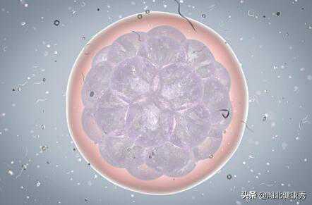 试管婴儿技术，是不孕不育的克星？事实可能会让你大失所望