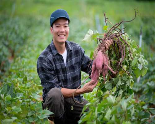 原创它是“天然黄体酮”，建议中年女性要多吃，激发雌激素抗衰显年轻