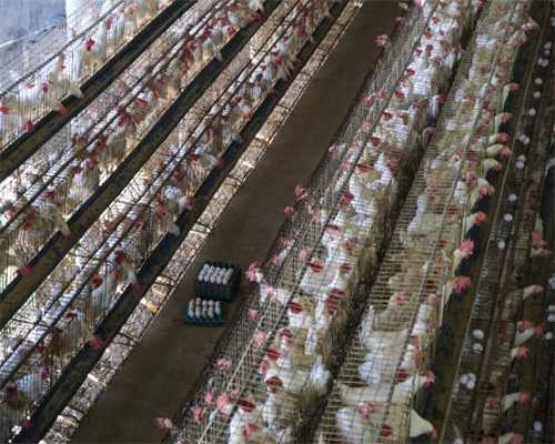 婆媳问题真的永远无解吗？