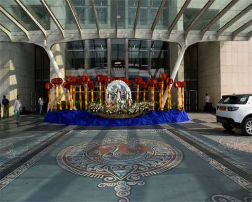 卵巢有卵泡是什么意思