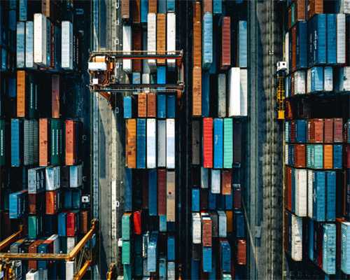 冷冻永生？新研究-150℃冻存肾脏百天，解冻移植后仍正常