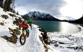 试管婴儿取卵越多，成功率越高吗?