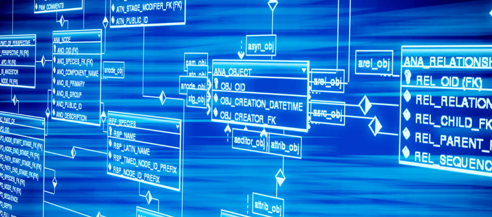 卵巢早衰能否做试管婴儿？成功率有多高？